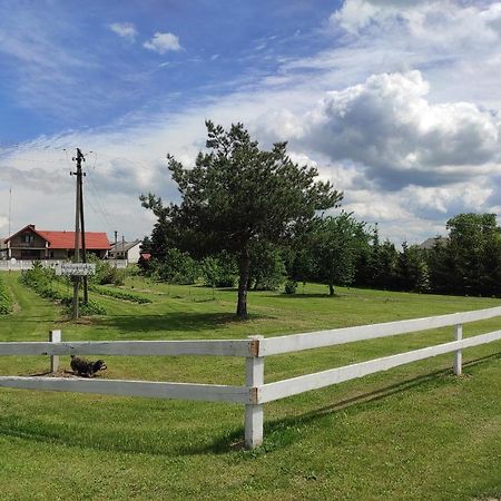 Agroturystyka Kobylnica Nad Wisla エクステリア 写真