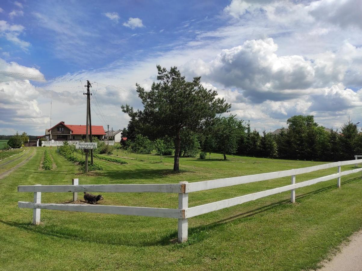 Agroturystyka Kobylnica Nad Wisla エクステリア 写真