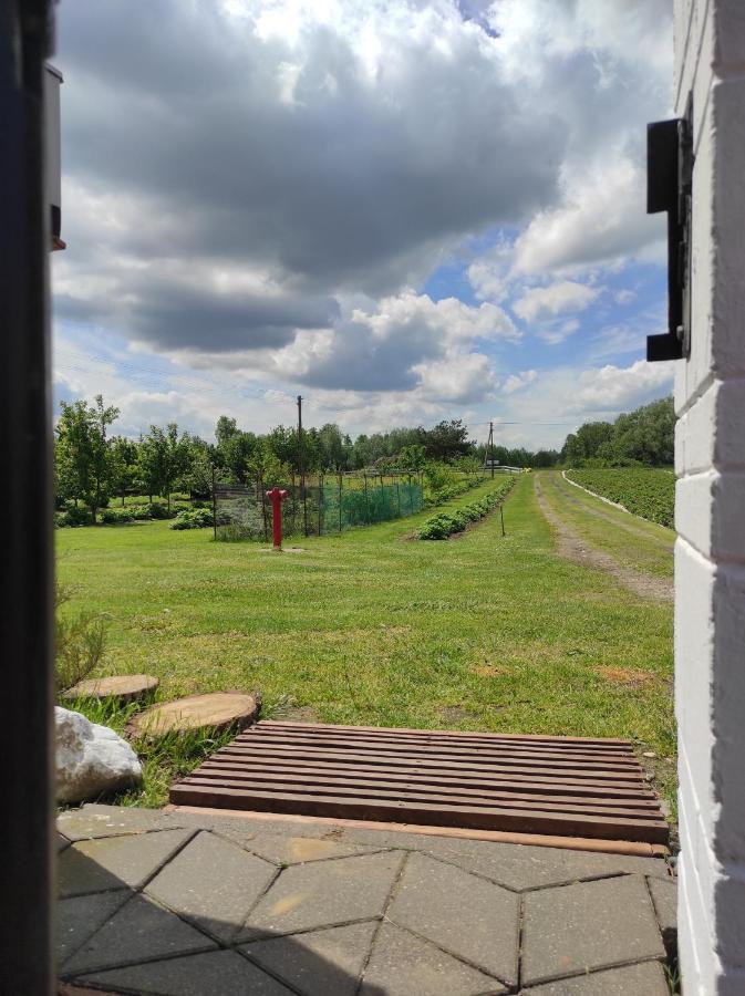 Agroturystyka Kobylnica Nad Wisla エクステリア 写真