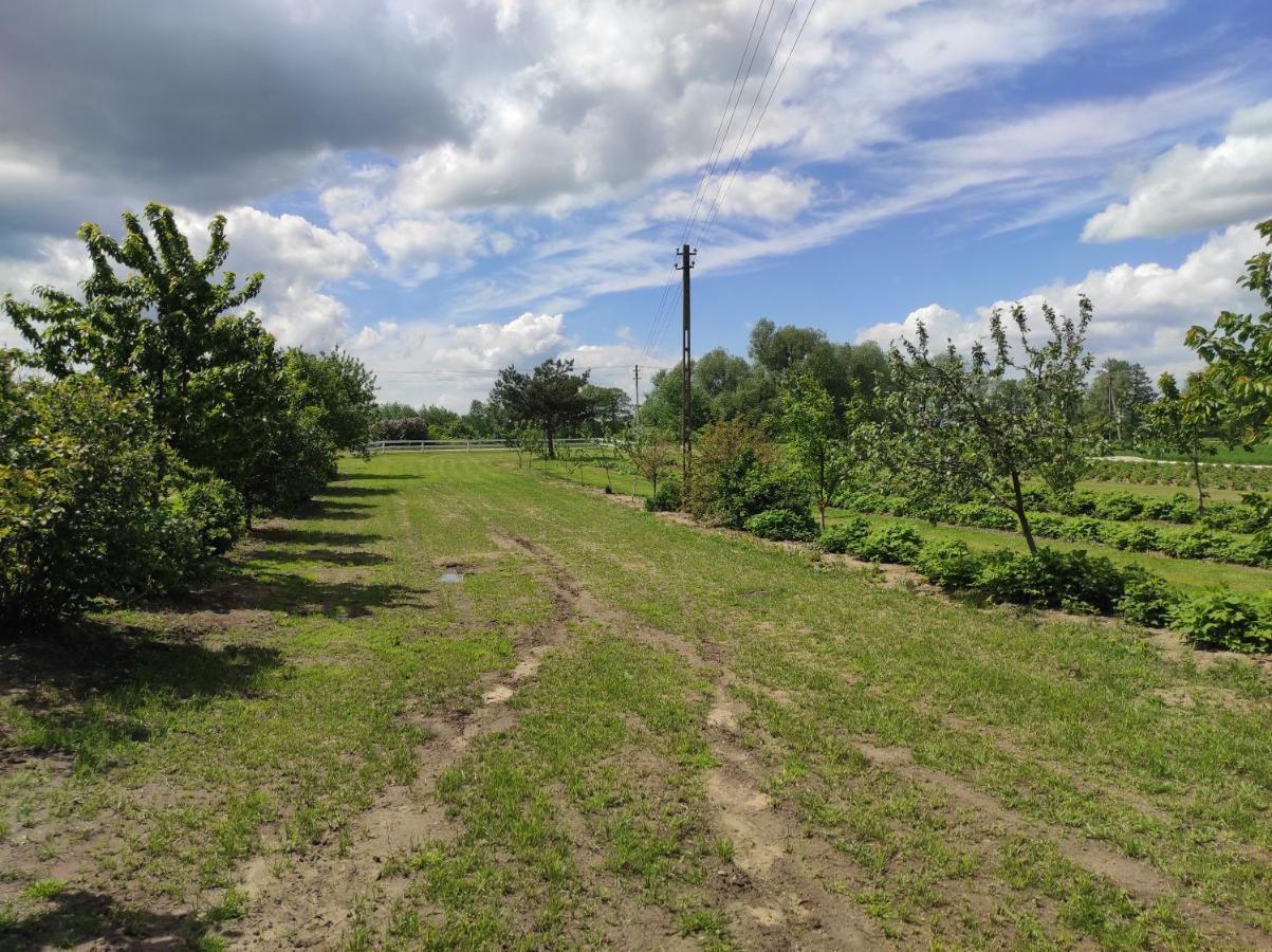 Agroturystyka Kobylnica Nad Wisla エクステリア 写真