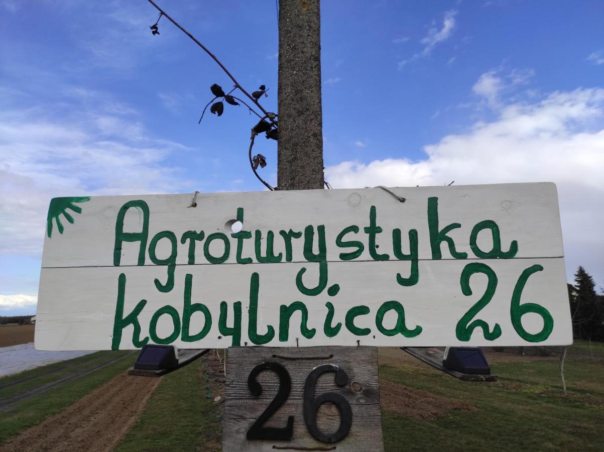 Agroturystyka Kobylnica Nad Wisla エクステリア 写真