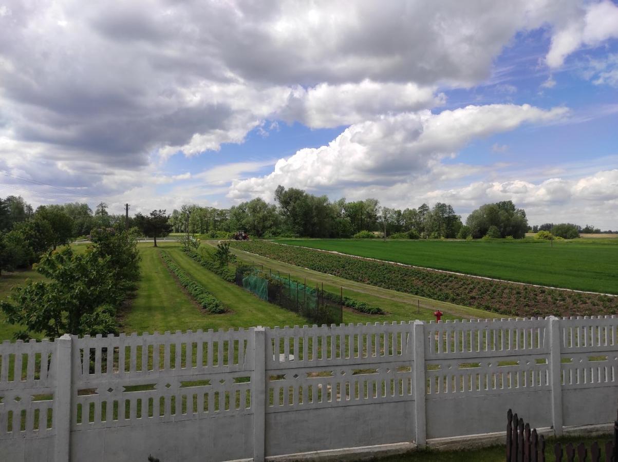 Agroturystyka Kobylnica Nad Wisla エクステリア 写真