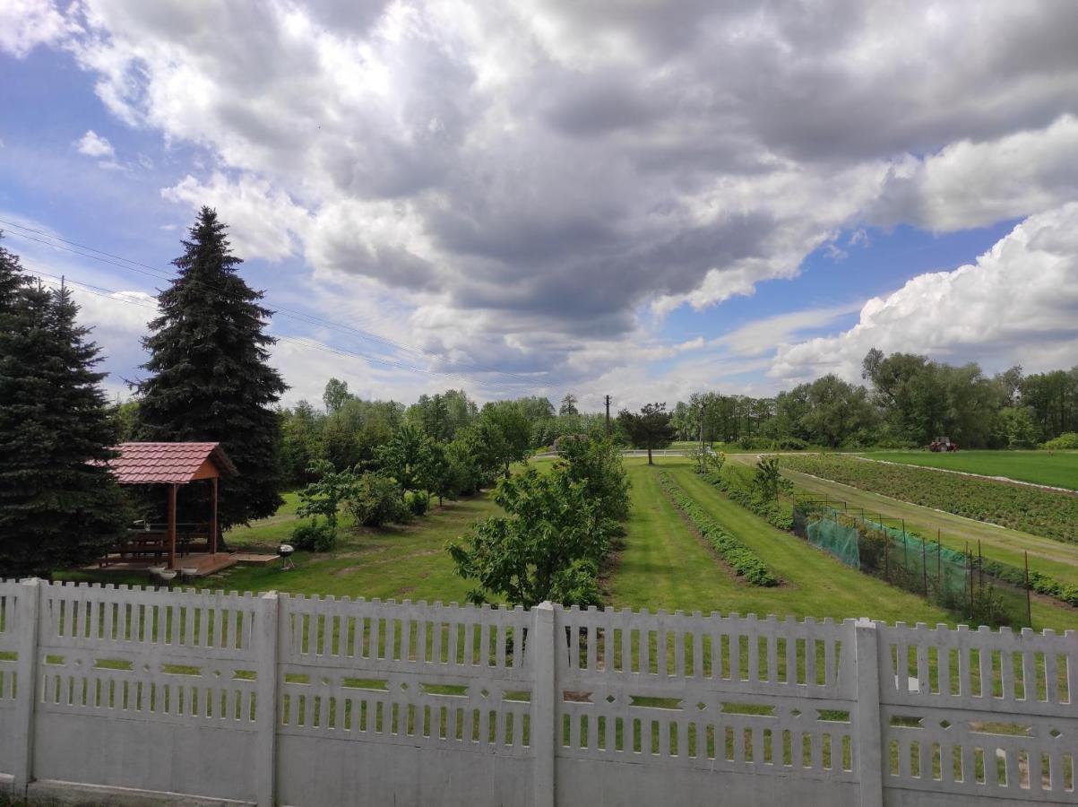 Agroturystyka Kobylnica Nad Wisla エクステリア 写真
