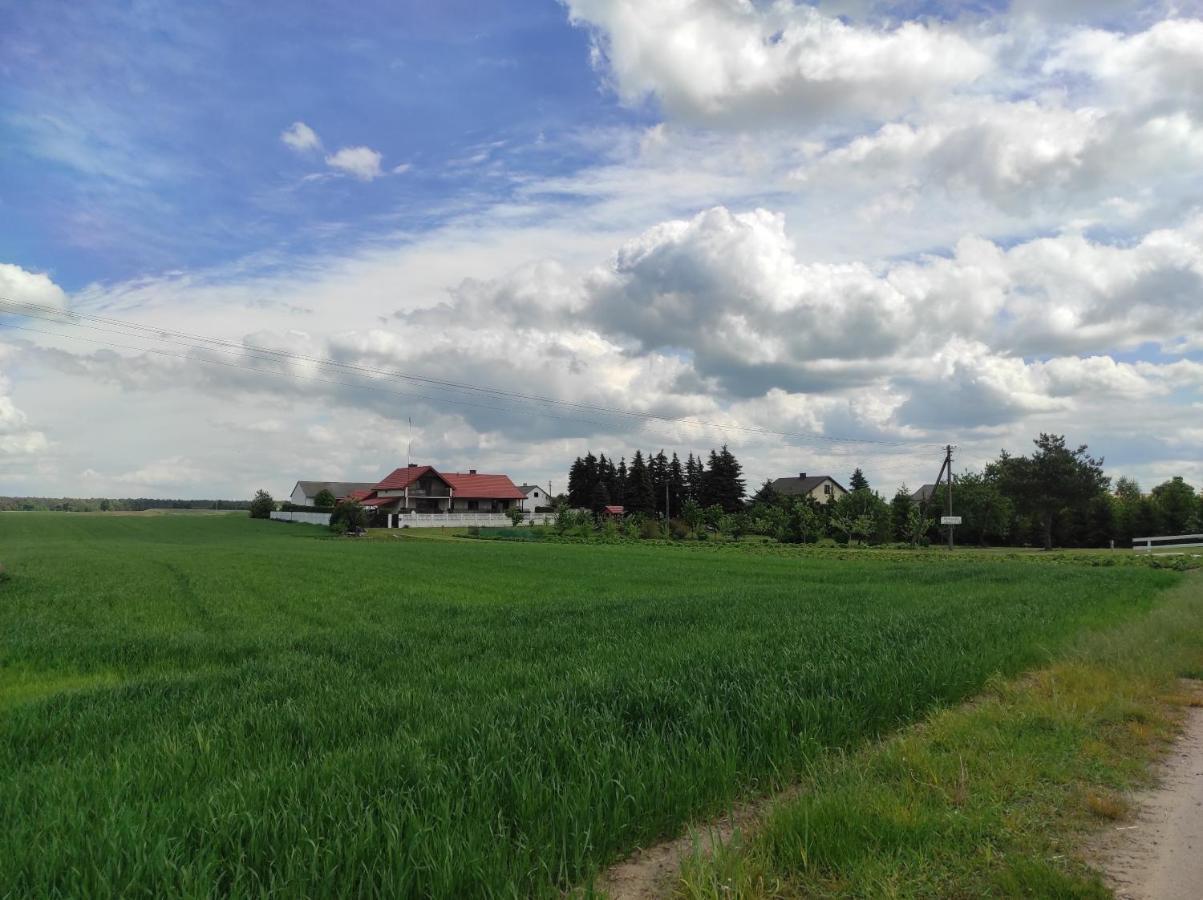 Agroturystyka Kobylnica Nad Wisla エクステリア 写真
