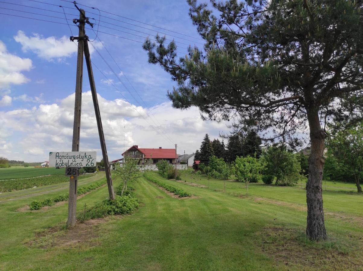 Agroturystyka Kobylnica Nad Wisla エクステリア 写真