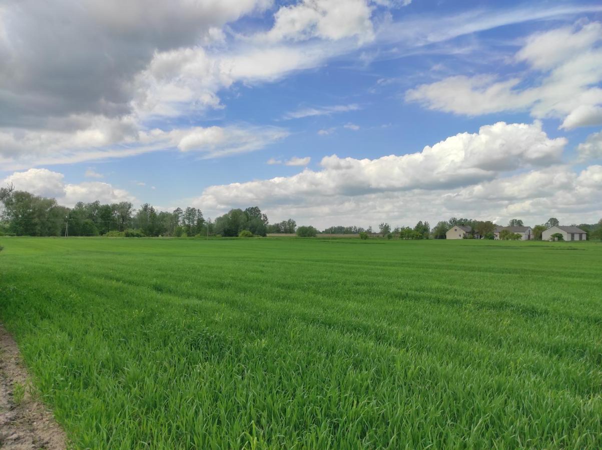 Agroturystyka Kobylnica Nad Wisla エクステリア 写真