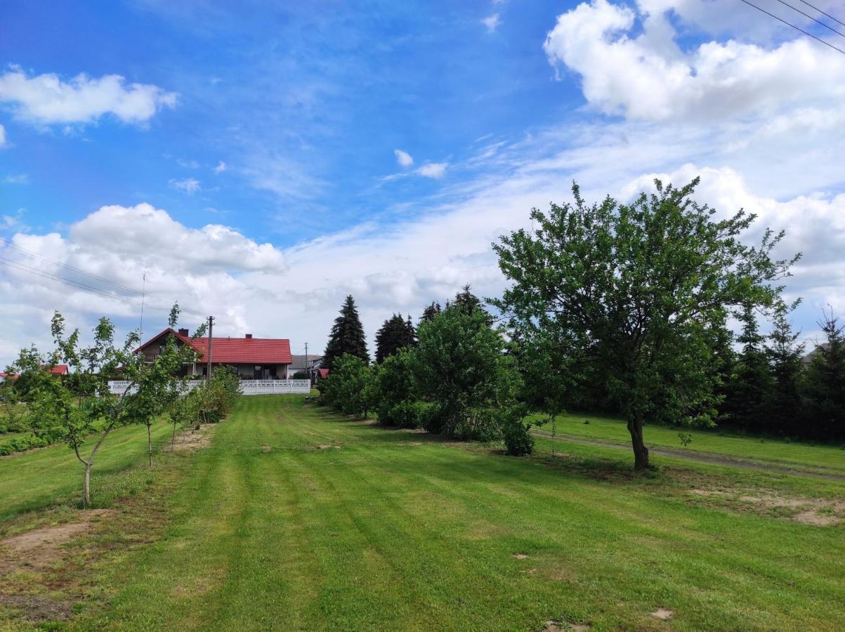 Agroturystyka Kobylnica Nad Wisla エクステリア 写真