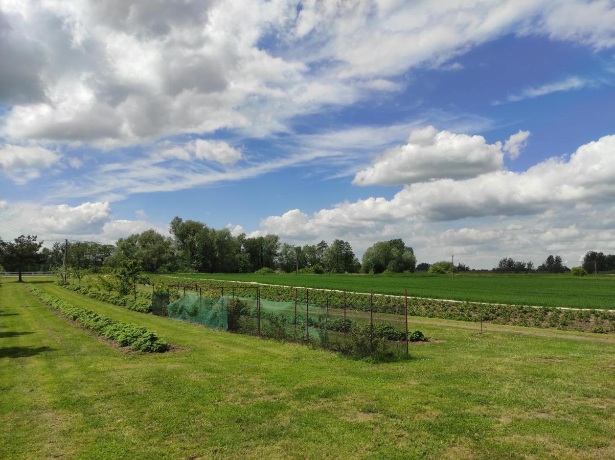 Agroturystyka Kobylnica Nad Wisla エクステリア 写真