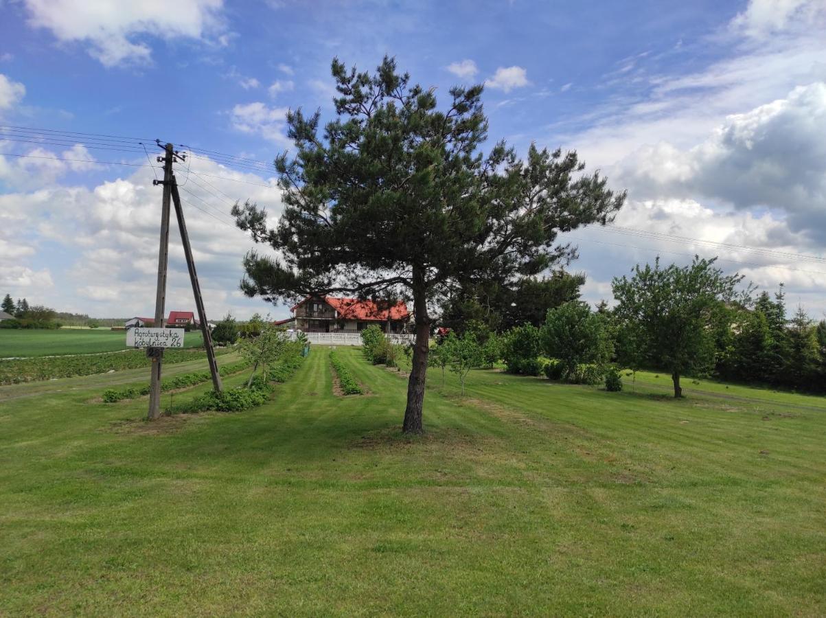 Agroturystyka Kobylnica Nad Wisla エクステリア 写真