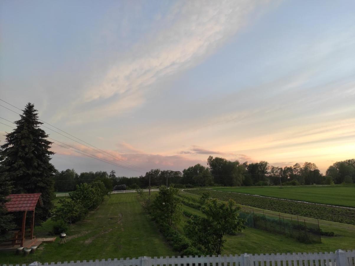 Agroturystyka Kobylnica Nad Wisla エクステリア 写真